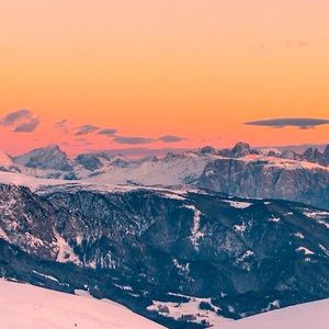 Meet your Posher, Jolene